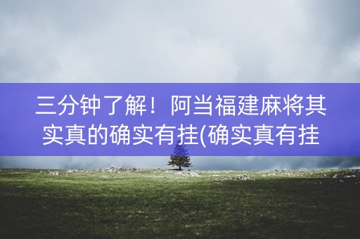 三分钟了解！阿当福建麻将其实真的确实有挂(确实真有挂)