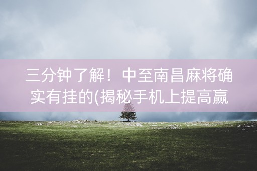三分钟了解！中至南昌麻将确实有挂的(揭秘手机上提高赢的概率)