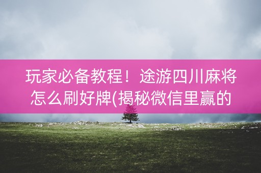 玩家必备教程！途游四川麻将怎么刷好牌(揭秘微信里赢的诀窍)