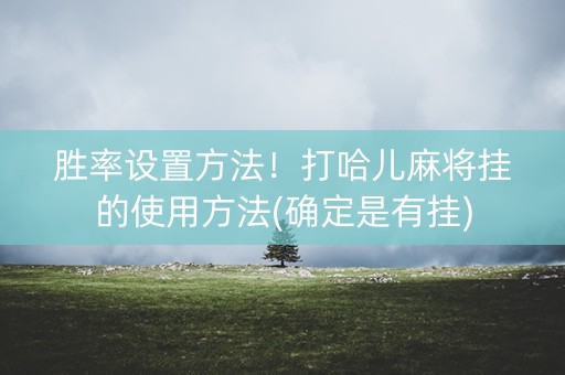 胜率设置方法！打哈儿麻将挂的使用方法(确定是有挂)
