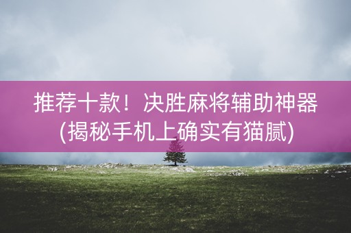 推荐十款！决胜麻将辅助神器(揭秘手机上确实有猫腻)