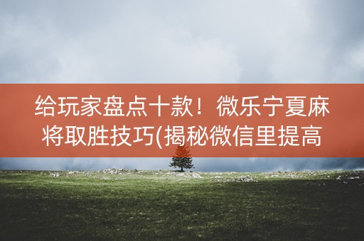 给玩家盘点十款！微乐宁夏麻将取胜技巧(揭秘微信里提高赢的概率)
