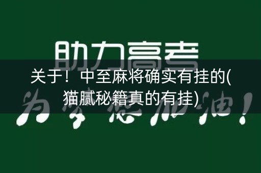 关于！中至麻将确实有挂的(猫腻秘籍真的有挂)
