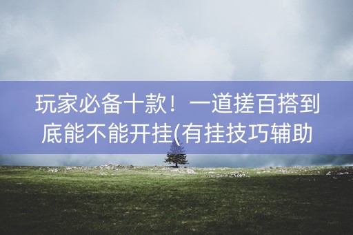 玩家必备十款！一道搓百搭到底能不能开挂(有挂技巧辅助器)