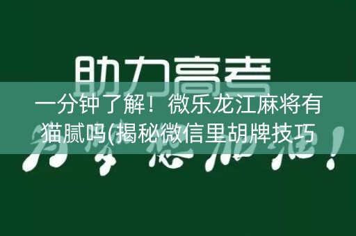 一分钟了解！微乐龙江麻将有猫腻吗(揭秘微信里胡牌技巧)