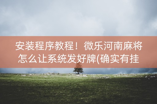 安装程序教程！微乐河南麻将怎么让系统发好牌(确实有挂吗)