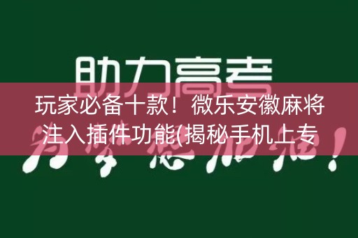 玩家必备十款！微乐安徽麻将注入插件功能(揭秘手机上专用神器下载)