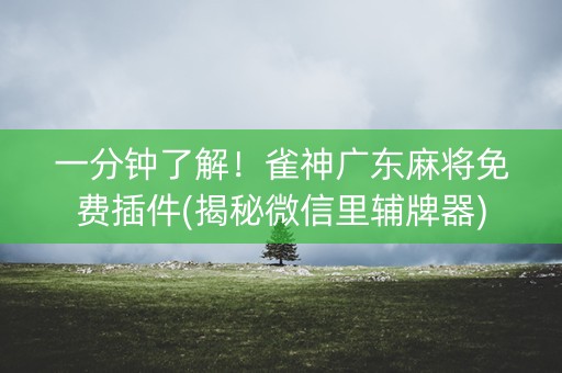 一分钟了解！雀神广东麻将免费插件(揭秘微信里辅牌器)