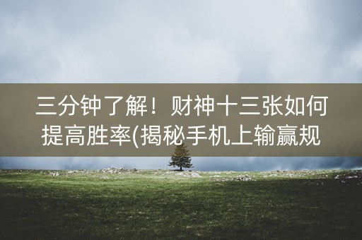 三分钟了解！财神十三张如何提高胜率(揭秘手机上输赢规律)