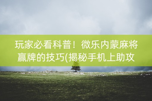 玩家必看科普！微乐内蒙麻将赢牌的技巧(揭秘手机上助攻神器)