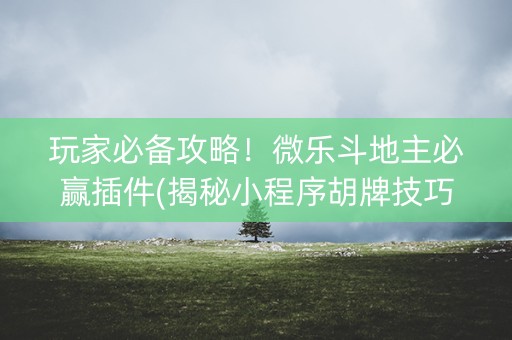 玩家必备攻略！微乐斗地主必赢插件(揭秘小程序胡牌技巧)