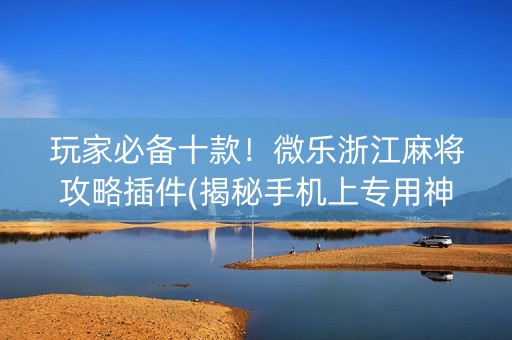 玩家必备十款！微乐浙江麻将攻略插件(揭秘手机上专用神器)