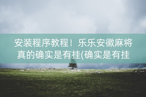 安装程序教程！乐乐安徽麻将真的确实是有挂(确实是有挂)