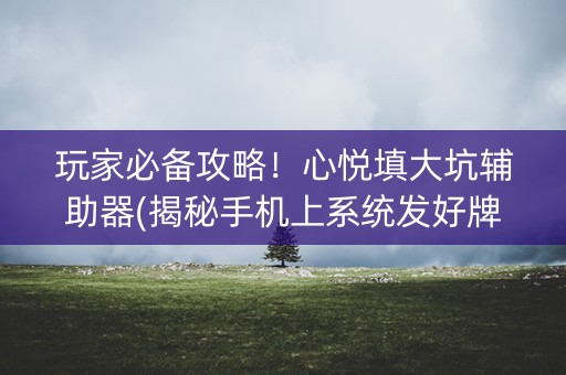玩家必备攻略！心悦填大坑辅助器(揭秘手机上系统发好牌)
