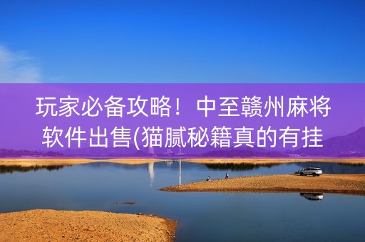 玩家必备攻略！中至赣州麻将软件出售(猫腻秘籍真的有挂)