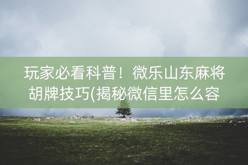 玩家必看科普！微乐山东麻将胡牌技巧(揭秘微信里怎么容易赢)