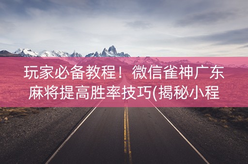 玩家必备教程！微信雀神广东麻将提高胜率技巧(揭秘小程序赢牌的技巧)
