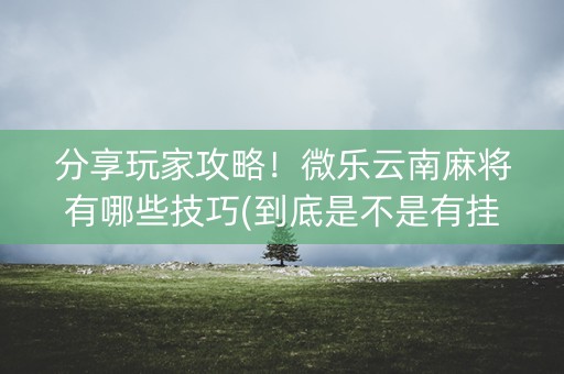 分享玩家攻略！微乐云南麻将有哪些技巧(到底是不是有挂)