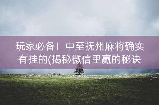 玩家必备！中至抚州麻将确实有挂的(揭秘微信里赢的秘诀)