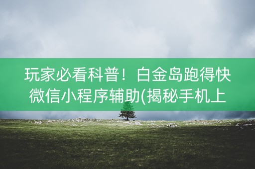 玩家必看科普！白金岛跑得快微信小程序辅助(揭秘手机上专用神器)