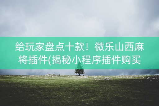 给玩家盘点十款！微乐山西麻将插件(揭秘小程序插件购买)