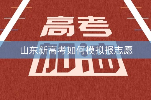 山东新高考如何模拟报志愿 山东新高考如何模拟报志愿