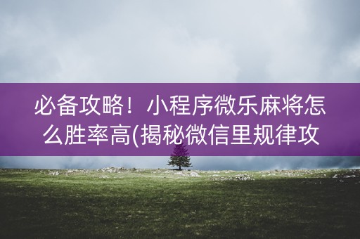 必备攻略！小程序微乐麻将怎么胜率高(揭秘微信里规律攻略)