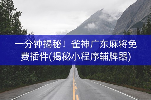 一分钟揭秘！雀神广东麻将免费插件(揭秘小程序辅牌器)
