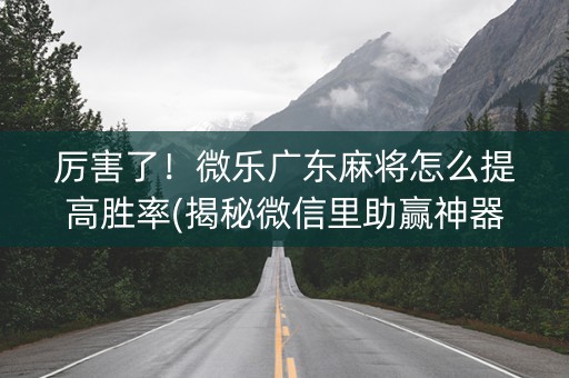 厉害了！微乐广东麻将怎么提高胜率(揭秘微信里助赢神器)
