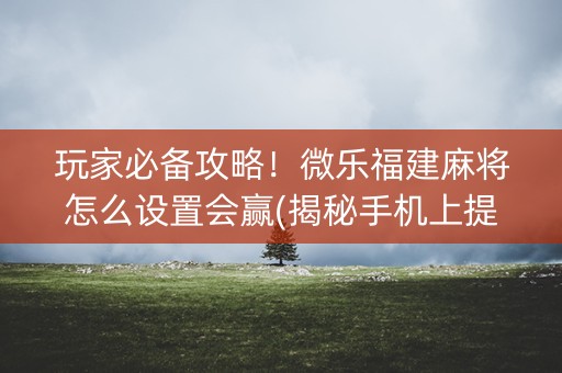 玩家必备攻略！微乐福建麻将怎么设置会赢(揭秘手机上提高胜率)