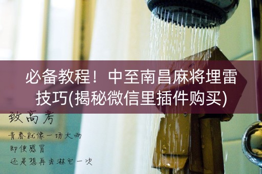 必备教程！中至南昌麻将埋雷技巧(揭秘微信里插件购买)