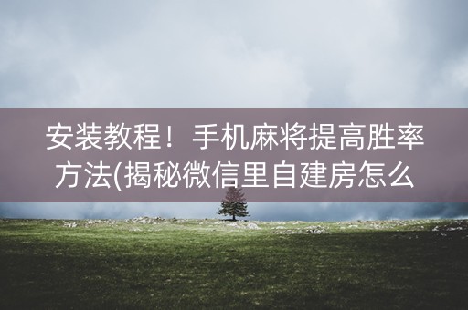 安装教程！手机麻将提高胜率方法(揭秘微信里自建房怎么赢)