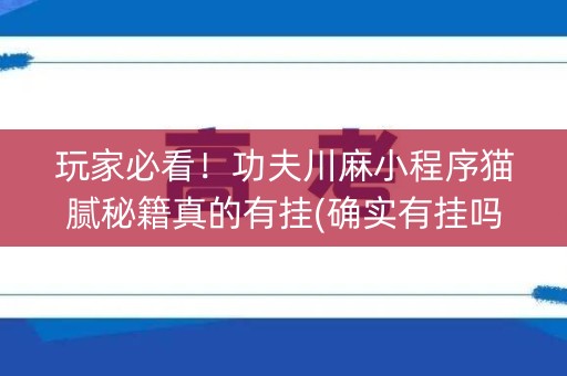 玩家必看！功夫川麻小程序猫腻秘籍真的有挂(确实有挂吗)