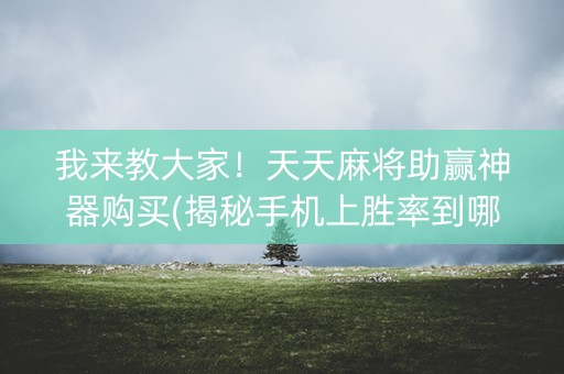 我来教大家！天天麻将助赢神器购买(揭秘手机上胜率到哪调)