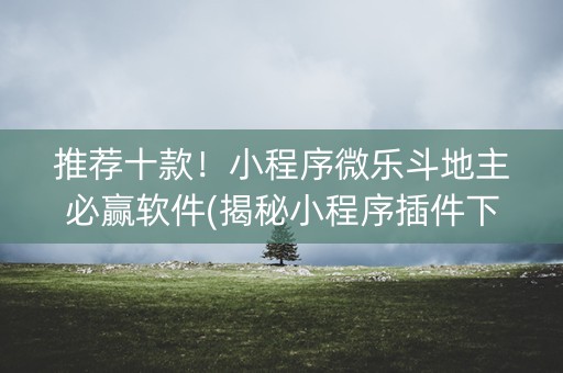 推荐十款！小程序微乐斗地主必赢软件(揭秘小程序插件下载)