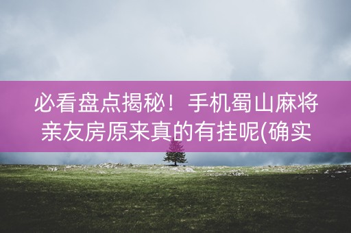 必看盘点揭秘！手机蜀山麻将亲友房原来真的有挂呢(确实有挂)