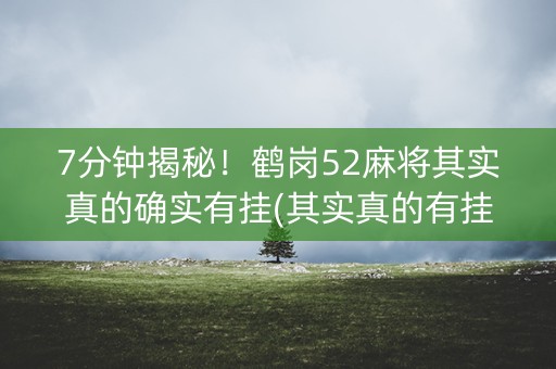 7分钟揭秘！鹤岗52麻将其实真的确实有挂(其实真的有挂)