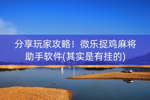 分享玩家攻略！微乐捉鸡麻将助手软件(其实是有挂的)