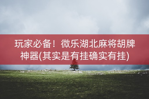 玩家必备！微乐湖北麻将胡牌神器(其实是有挂确实有挂)