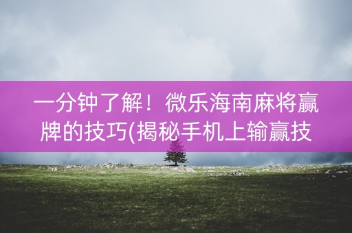 一分钟了解！微乐海南麻将赢牌的技巧(揭秘手机上输赢技巧)