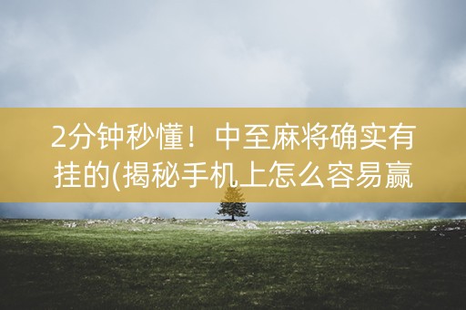 2分钟秒懂！中至麻将确实有挂的(揭秘手机上怎么容易赢)
