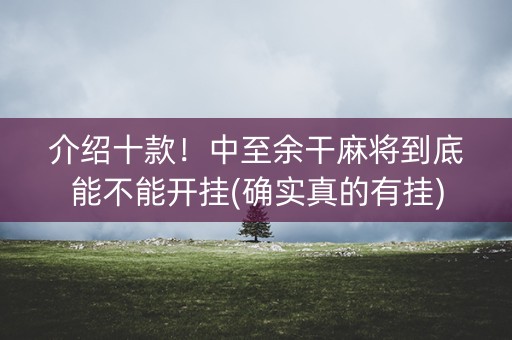 介绍十款！中至余干麻将到底能不能开挂(确实真的有挂)