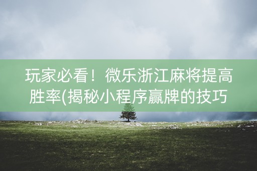 玩家必看！微乐浙江麻将提高胜率(揭秘小程序赢牌的技巧)