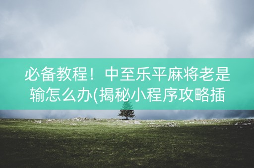 必备教程！中至乐平麻将老是输怎么办(揭秘小程序攻略插件)