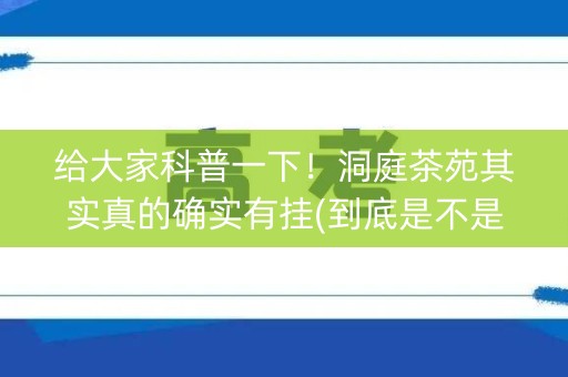 给大家科普一下！洞庭茶苑其实真的确实有挂(到底是不是有挂)