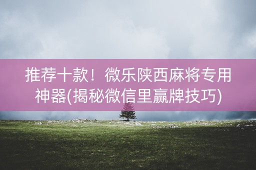 推荐十款！微乐陕西麻将专用神器(揭秘微信里赢牌技巧)