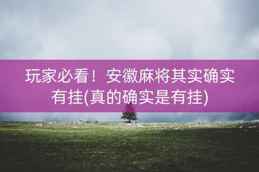 玩家必看！安徽麻将其实确实有挂(真的确实是有挂)