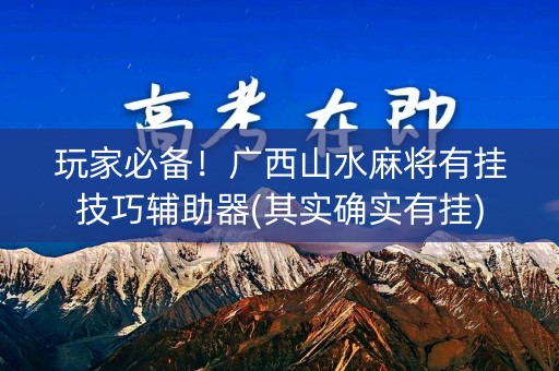 玩家必备！广西山水麻将有挂技巧辅助器(其实确实有挂)