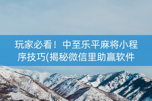 玩家必看！中至乐平麻将小程序技巧(揭秘微信里助赢软件)