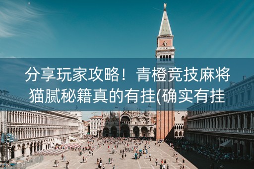 分享玩家攻略！青橙竞技麻将猫腻秘籍真的有挂(确实有挂)
